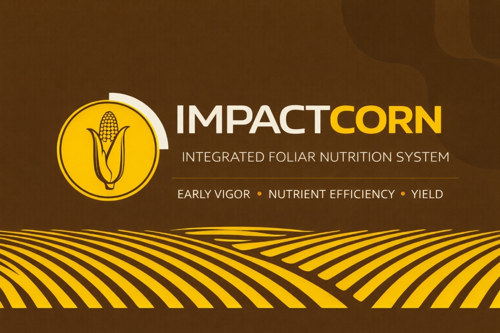 ImpactCorn